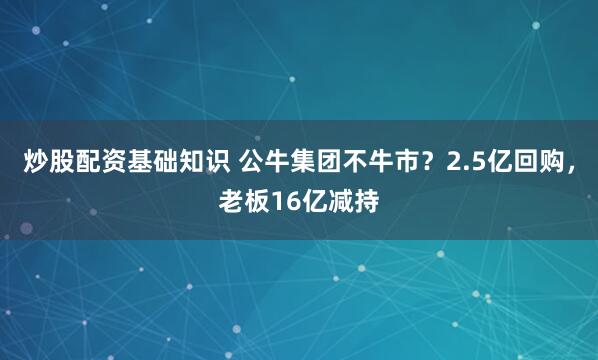 炒股配资基础知识 公牛集团不牛市？2.5亿回购，老板16亿减持