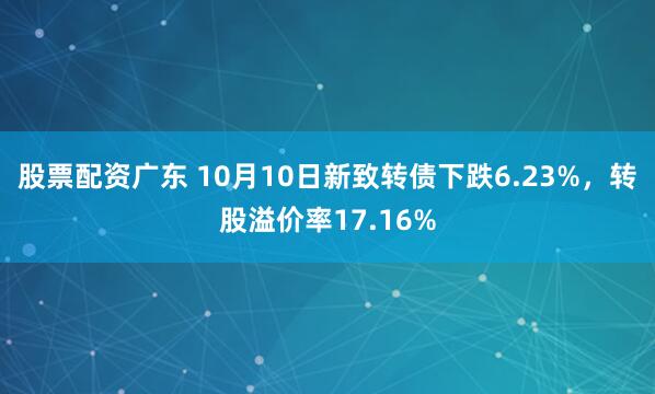 股票配资广东 10月10日新致转债下跌6.23%，转股溢价率17.16%