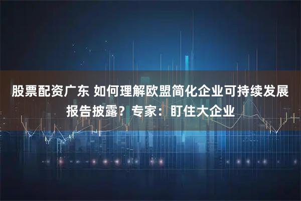 股票配资广东 如何理解欧盟简化企业可持续发展报告披露？专家：盯住大企业