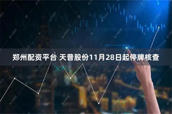 郑州配资平台 天普股份11月28日起停牌核查
