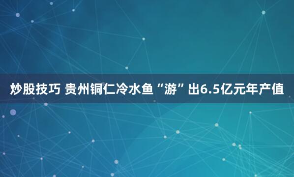 炒股技巧 贵州铜仁冷水鱼“游”出6.5亿元年产值