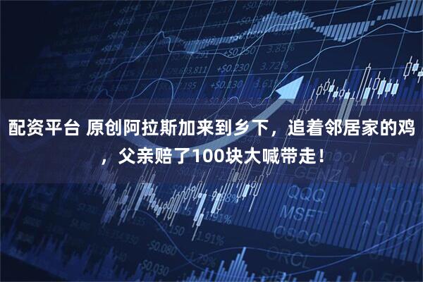 配资平台 原创阿拉斯加来到乡下，追着邻居家的鸡，父亲赔了100块大喊带走！